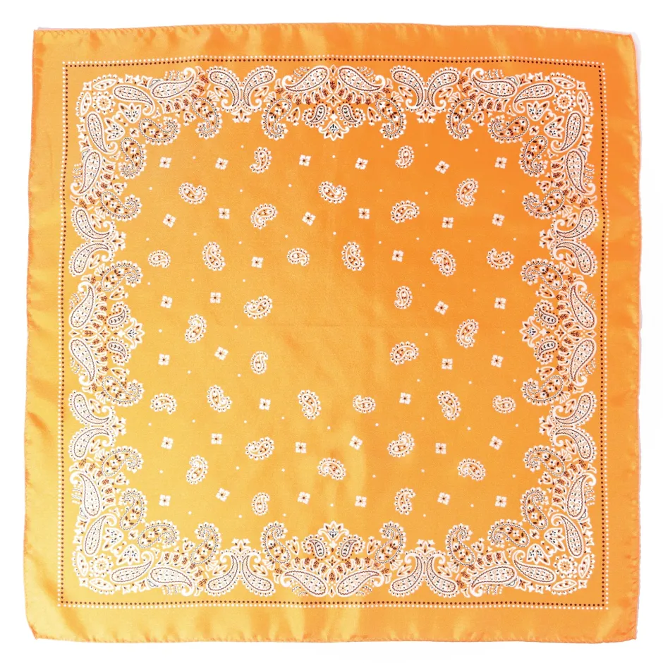 Anonymous Ism Paisley & Dots Silk Scarf- Bandana|Accessories